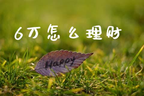 6万怎么理财_https://m.ycdhulan.com_理财产品_第1张