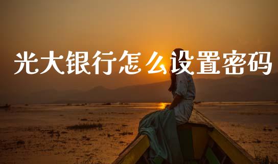 光大银行怎么设置密码_https://m.ycdhulan.com_国际金融_第1张