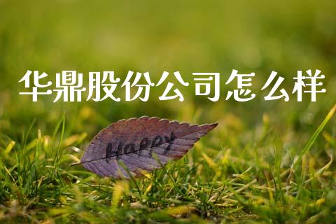 华鼎股份公司怎么样_https://m.ycdhulan.com_理财产品_第1张