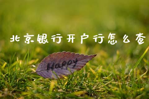 北京银行开户行怎么查_https://m.ycdhulan.com_国际金融_第1张