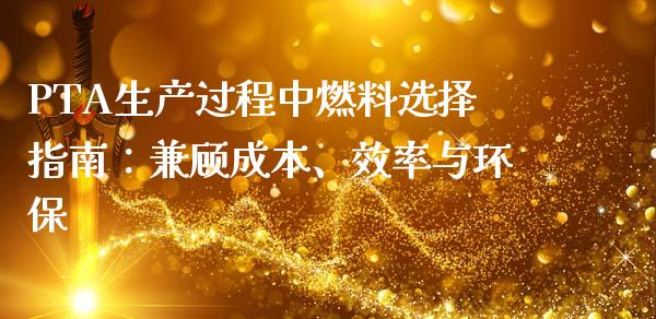 PTA生产过程中燃料选择指南:兼顾成本、效率与环保_国际金融_第1张_财经要闻_股市在线_理财产品_国际金融 PTA生产过程中燃料选择指南:兼顾成本、效率与环保_https://m.ycdhulan.com_国际金融_第1张