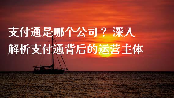 支付通是哪个公司？ 深入解析支付通背后的运营主体_https://m.ycdhulan.com_理财产品_第1张