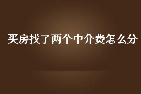 买房找了两个中介费怎么分_https://m.ycdhulan.com_国际金融_第1张