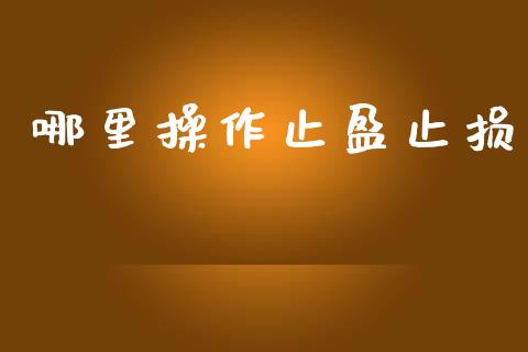 哪里操作止盈止损_https://m.ycdhulan.com_股市在线_第1张