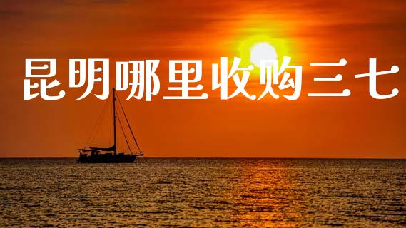 昆明哪里收购三七_https://m.ycdhulan.com_财经要闻_第1张