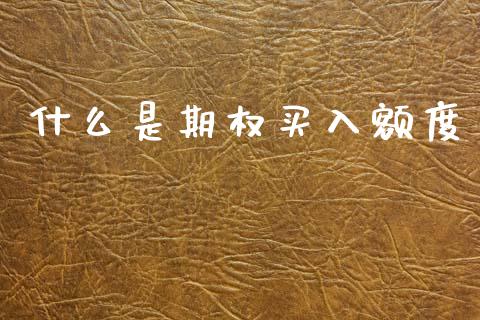什么是期权买入额度_https://m.ycdhulan.com_期货交易_第1张