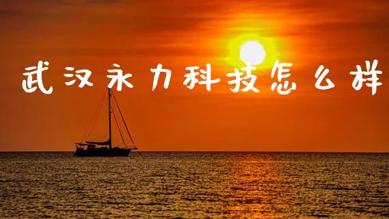 武汉永力科技怎么样_https://m.ycdhulan.com_期货交易_第1张