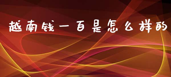 越南钱一百是怎么样的_https://m.ycdhulan.com_理财产品_第1张