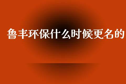 鲁丰环保什么时候更名的_https://m.ycdhulan.com_国际金融_第1张