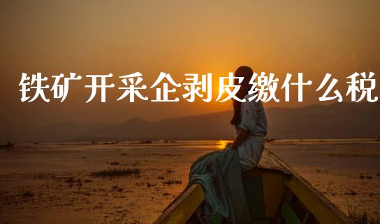 铁矿开采企剥皮缴什么税_https://m.ycdhulan.com_期货交易_第1张