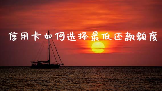 信用卡如何选择最低还款额度_https://m.ycdhulan.com_财经要闻_第1张