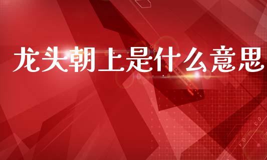 龙头朝上是什么意思_https://m.ycdhulan.com_国际金融_第1张
