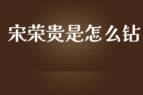 宋荣贵是怎么钻_https://m.ycdhulan.com_期货交易_第1张