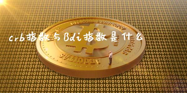 crb指数与Bdi指数是什么_https://m.ycdhulan.com_财经要闻_第1张