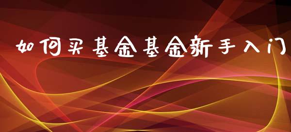 如何买基金基金新手入门_https://m.ycdhulan.com_财经要闻_第1张