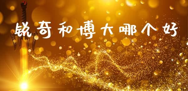 锐奇和博大哪个好_https://m.ycdhulan.com_国际金融_第1张