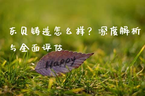 东贝铸造怎么样？深度解析与全面评估_https://m.ycdhulan.com_国际金融_第1张