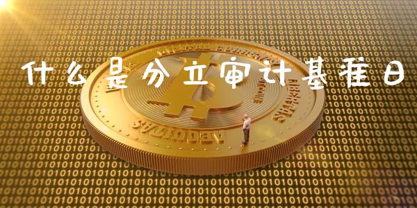 什么是分立审计基准日_https://m.ycdhulan.com_期货交易_第1张