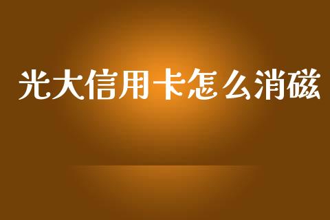 光大信用卡怎么消磁_https://m.ycdhulan.com_财经要闻_第1张