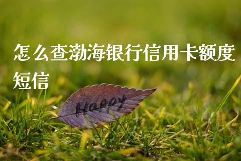 怎么查渤海银行信用卡额度短信_https://m.ycdhulan.com_股市在线_第1张