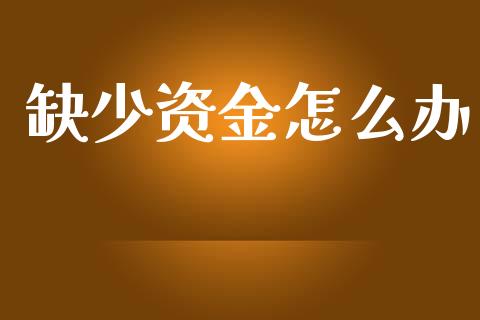 缺少资金怎么办_https://m.ycdhulan.com_国际金融_第1张