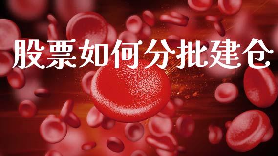股票如何分批建仓_https://m.ycdhulan.com_财经要闻_第1张