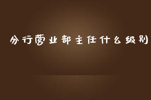 分行营业部主任什么级别_https://m.ycdhulan.com_财经要闻_第1张