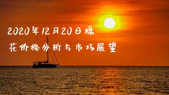 2020年12月20日棉花价格分析与市场展望_https://m.ycdhulan.com_财经要闻_第1张