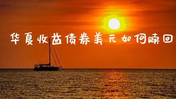 华夏收益债券美元如何赎回_https://m.ycdhulan.com_国际金融_第1张