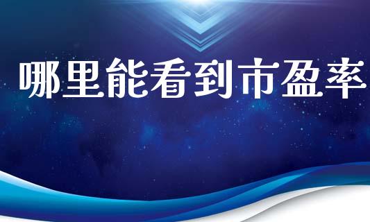 哪里能看到市盈率_https://m.ycdhulan.com_期货交易_第1张