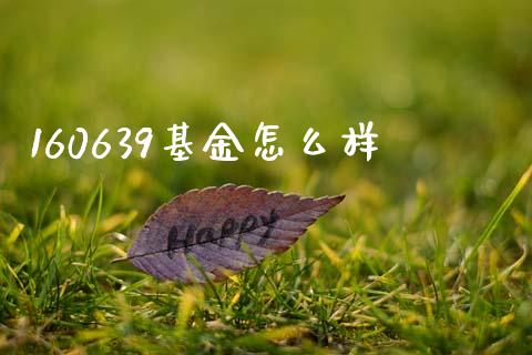160639基金怎么样_https://m.ycdhulan.com_股市在线_第1张
