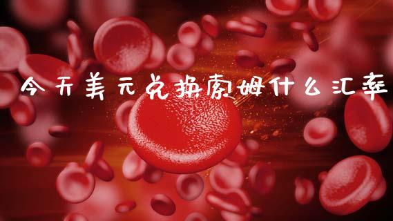 今天美元兑换索姆什么汇率_https://m.ycdhulan.com_财经要闻_第1张