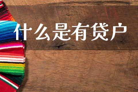 什么是有贷户_https://m.ycdhulan.com_国际金融_第1张