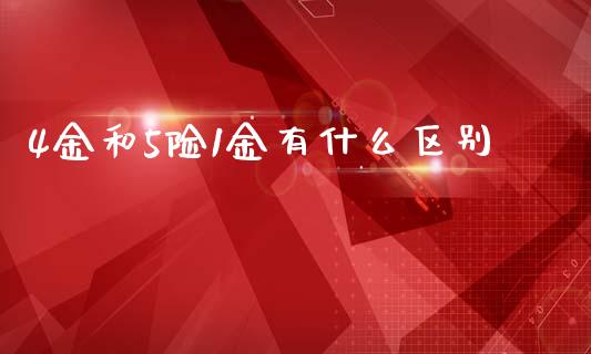4金和5险1金有什么区别_https://m.ycdhulan.com_股市在线_第1张