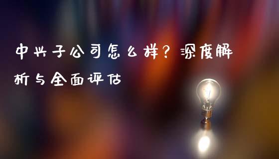 中兴子公司怎么样？深度解析与全面评估_https://m.ycdhulan.com_期货交易_第1张