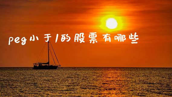 peg小于1的股票有哪些_https://m.ycdhulan.com_理财产品_第1张