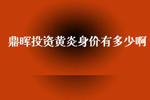 鼎晖投资黄炎身价有多少啊_https://m.ycdhulan.com_股市在线_第1张