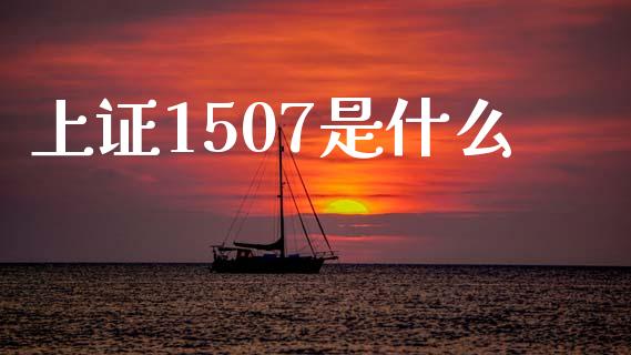 上证1507是什么_https://m.ycdhulan.com_期货交易_第1张