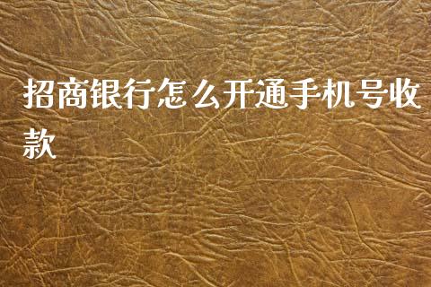 招商银行怎么开通手机号收款_https://m.ycdhulan.com_国际金融_第1张
