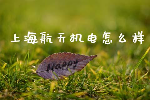 上海航天机电怎么样_https://m.ycdhulan.com_国际金融_第1张