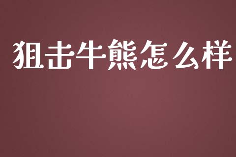 狙击牛熊怎么样_https://m.ycdhulan.com_财经要闻_第1张