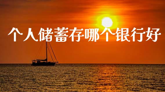个人储蓄存哪个银行好_https://m.ycdhulan.com_财经要闻_第1张