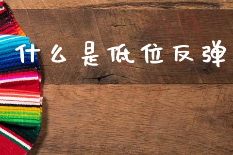 什么是低位反弹_https://m.ycdhulan.com_国际金融_第1张