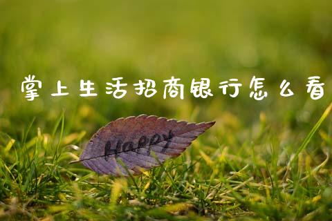 掌上生活招商银行怎么看_https://m.ycdhulan.com_国际金融_第1张