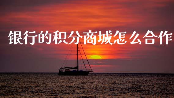 银行的积分商城怎么合作_https://m.ycdhulan.com_期货交易_第1张