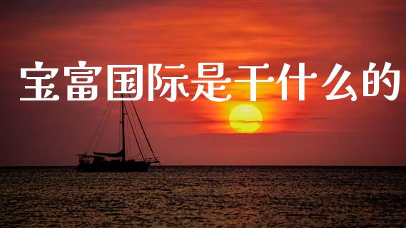 宝富国际是干什么的_https://m.ycdhulan.com_财经要闻_第1张
