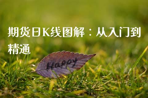 期货日K线图解:从入门到精通_理财产品_第1张_财经要闻_股市在线_理财产品_国际金融 期货日K线图解:从入门到精通_https://m.ycdhulan.com_理财产品_第1张