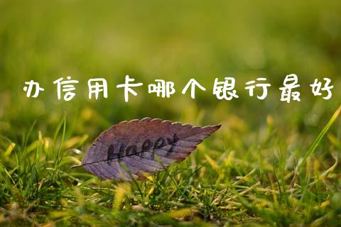 办信用卡哪个银行最好_https://m.ycdhulan.com_股市在线_第1张