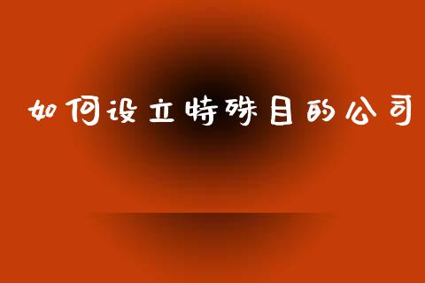 如何设立特殊目的公司_https://m.ycdhulan.com_理财产品_第1张