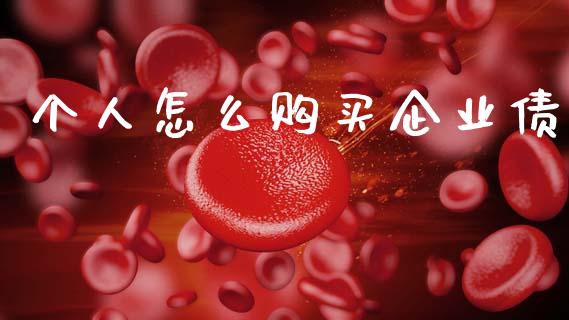 个人怎么购买企业债_https://m.ycdhulan.com_国际金融_第1张